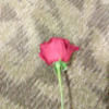 ritzbitzz3